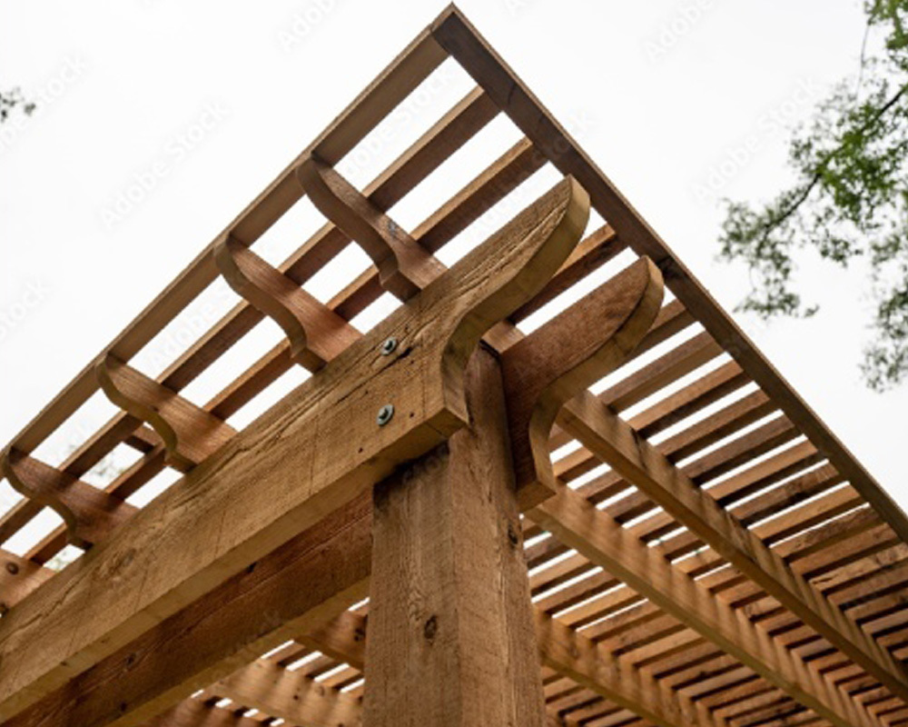 Deck Builder Waikato Decking Design & Pergolas Hamilton